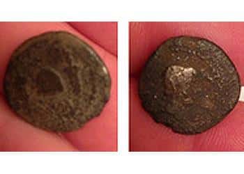 the-find-of-a-life-time-1