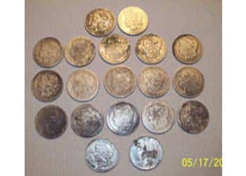 ctx-silver-dollars-1