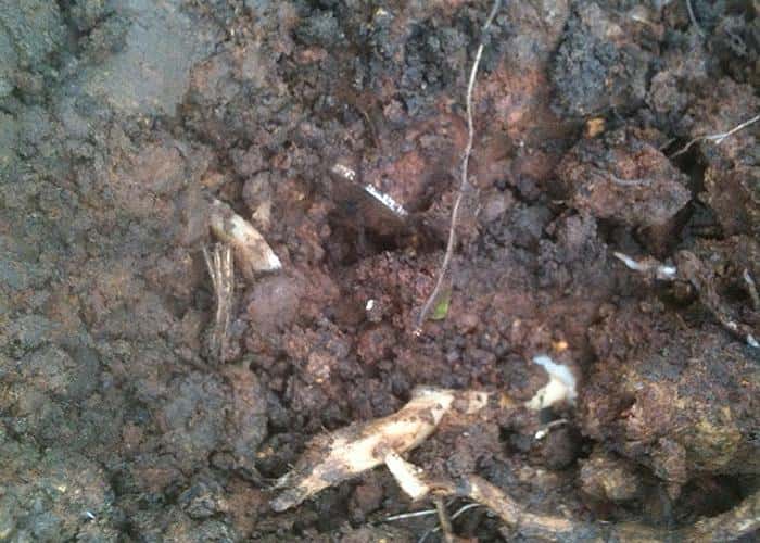 thanks-for-an-amazing-machine-the-v3i-1