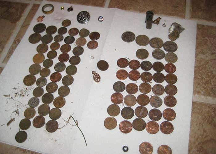 father-son-team-enjoying-detecting-1