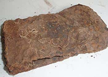 x-traordinarily-x-citing-3