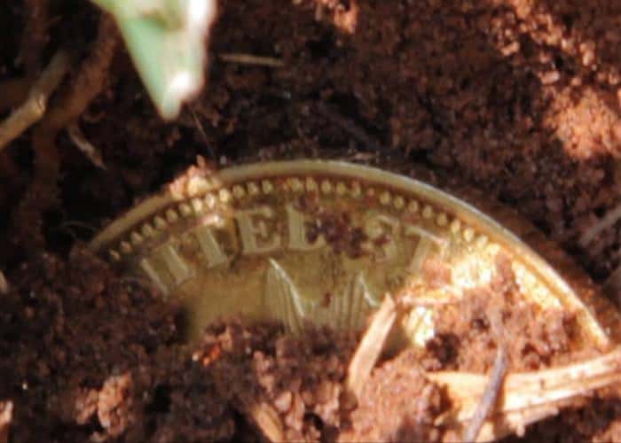 1850-o-twenty-dollar-gold-piece-1