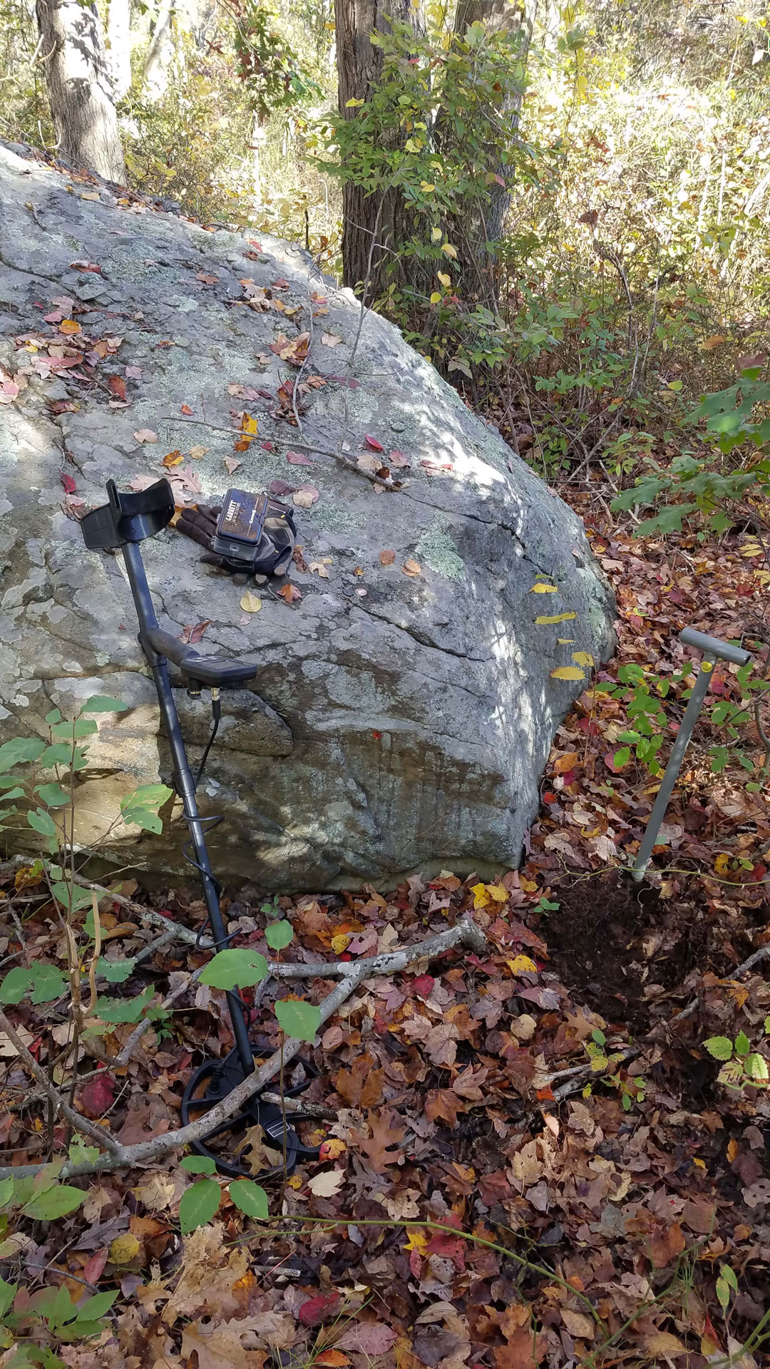 Reverse Tails Side of Two Coins