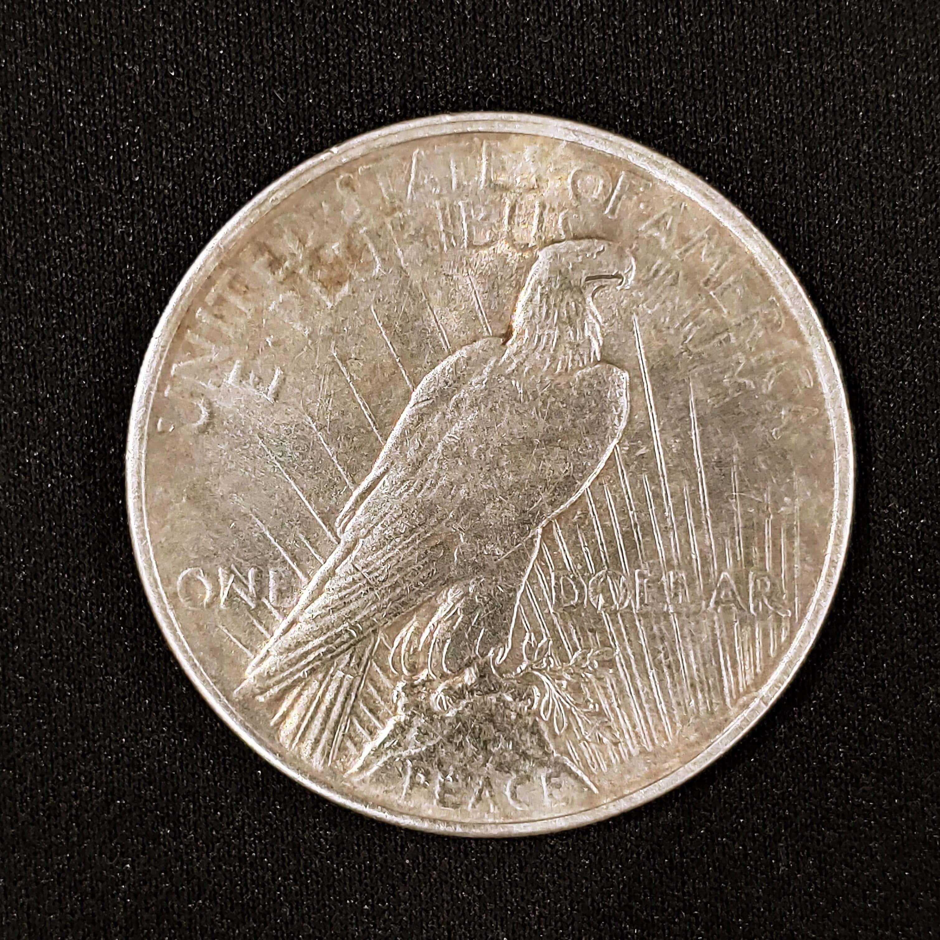 Reverse of Peace Dollar with Peace Visible Along Lower Edge
