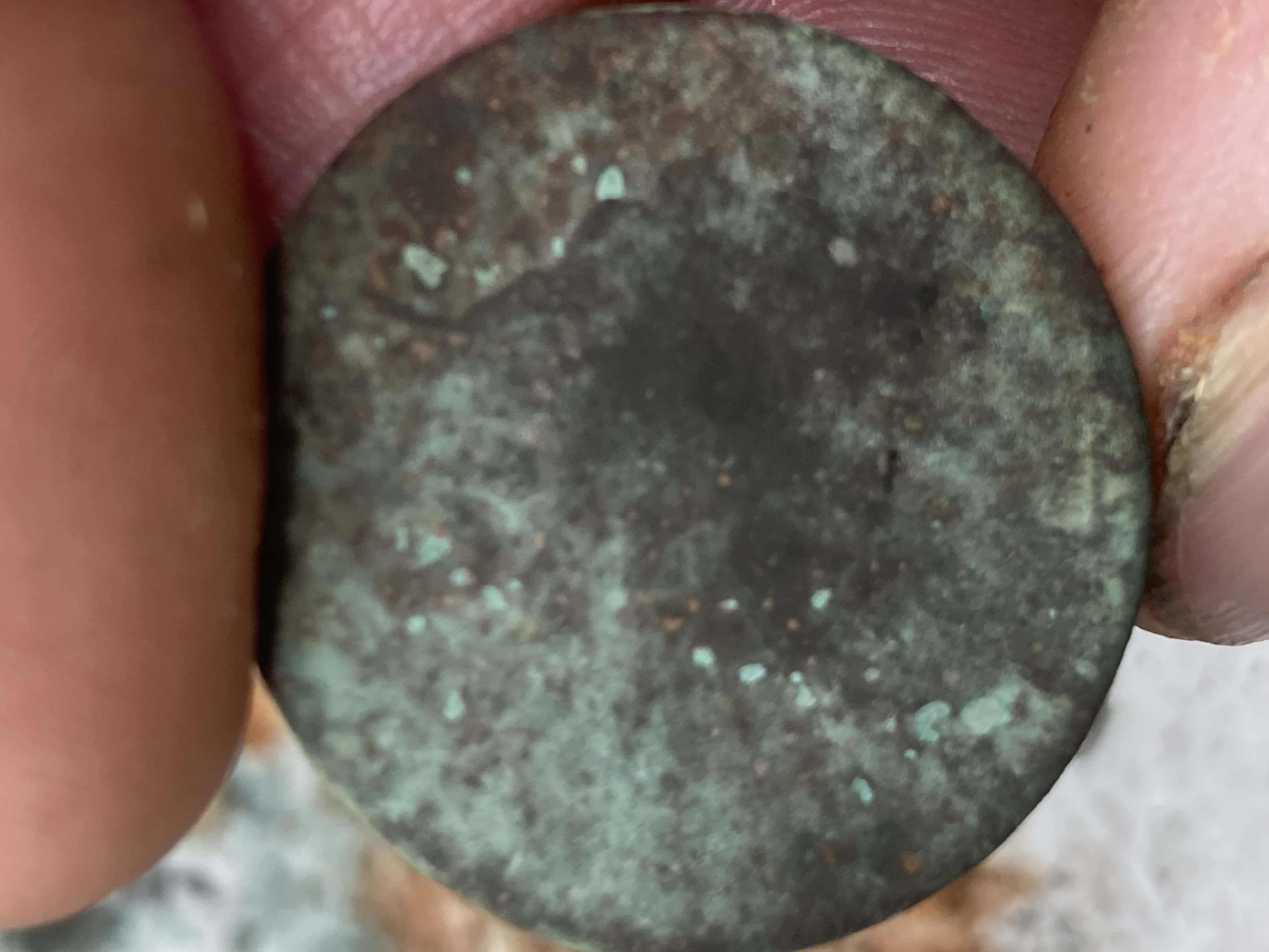 Reverse of William III Coin Held Between Thumb and Index Finger