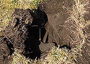 my-greatest-discovery-by-far-2