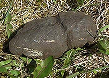 my-greatest-discovery-by-far-3