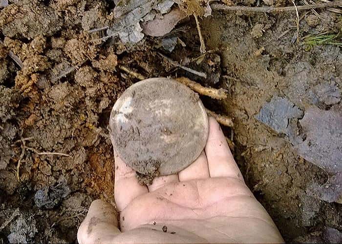 my-best-find-ever-civil-war-eagle-breastplate-1