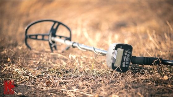 Each Metal Detector Thrives