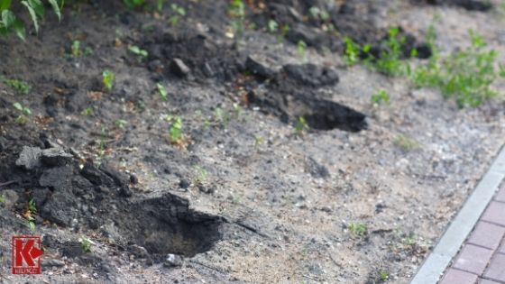 Leave The Ground Looking Undisturbed