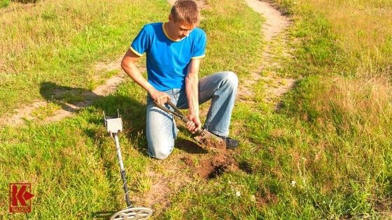 Beginner Detectorists