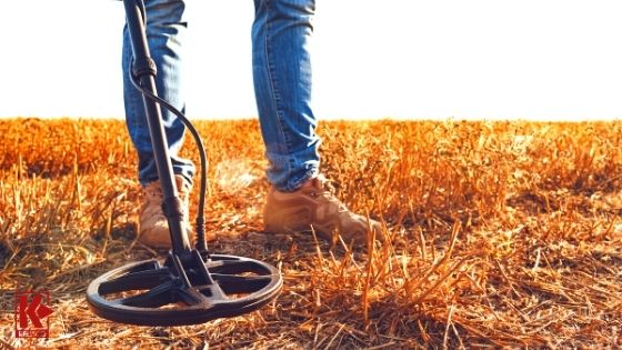 Metal Detecting Hobby