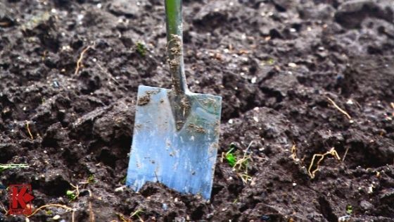 Relic Hunters Use A Spade