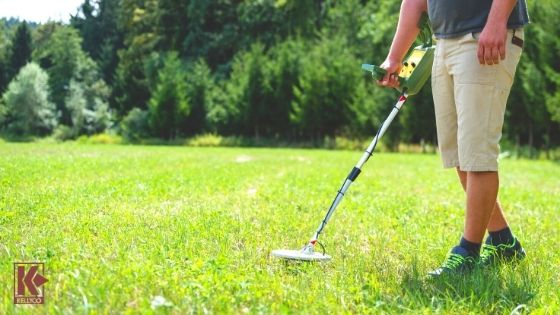 Detecting In Local Park