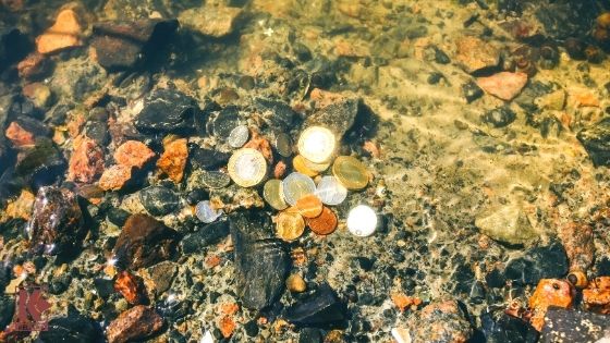 Shallow Water Treasure