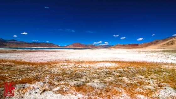 Garrett AT Max Reviews