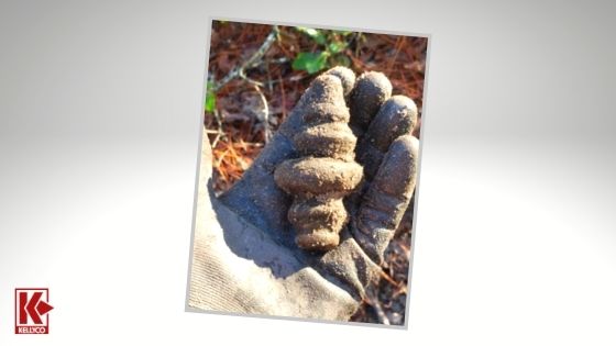 Decorative Adornment