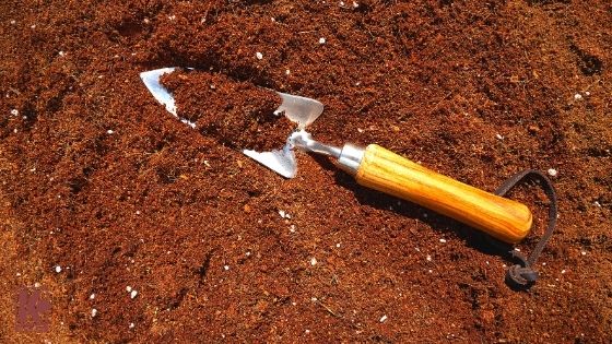 Trowel On Organic Substratum